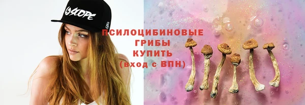 бошки Балахна