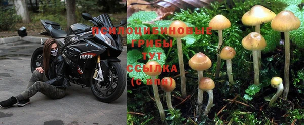 гидра Баксан