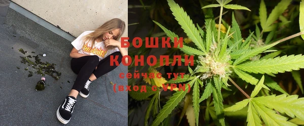гидра Баксан