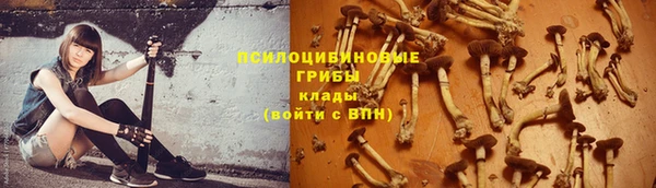 гидра Баксан