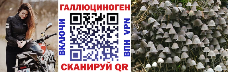 Галлюциногенные грибы Psilocybine cubensis  сайты даркнета какой сайт  Озёры  купить  цена 